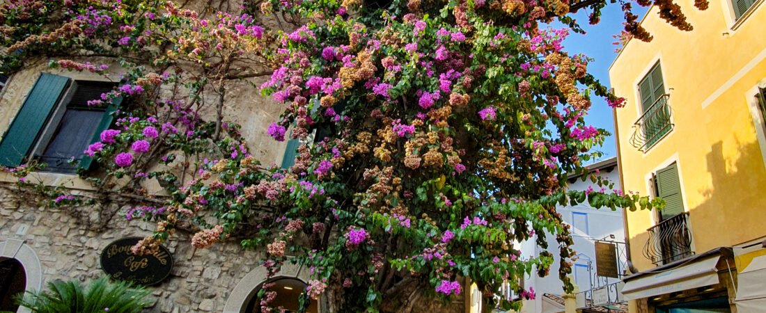 Cosa vedere a Sirmione in un giorno